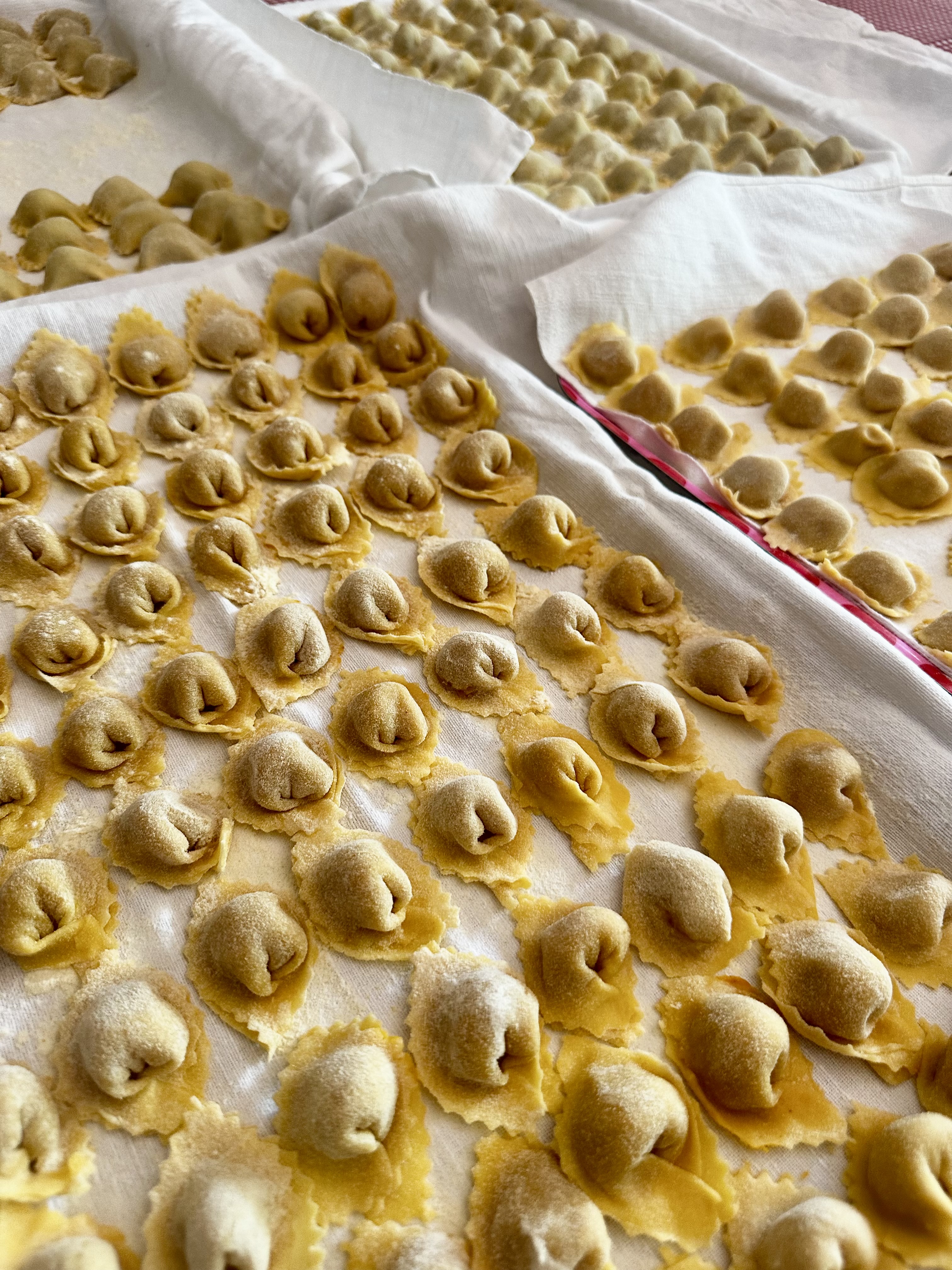 Fresh tortellini laid out to dry